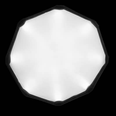 Test Uploader - Redback Basic Kit - UGC